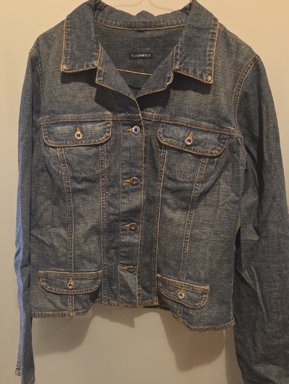 Blue Jeanious Denim Jacket